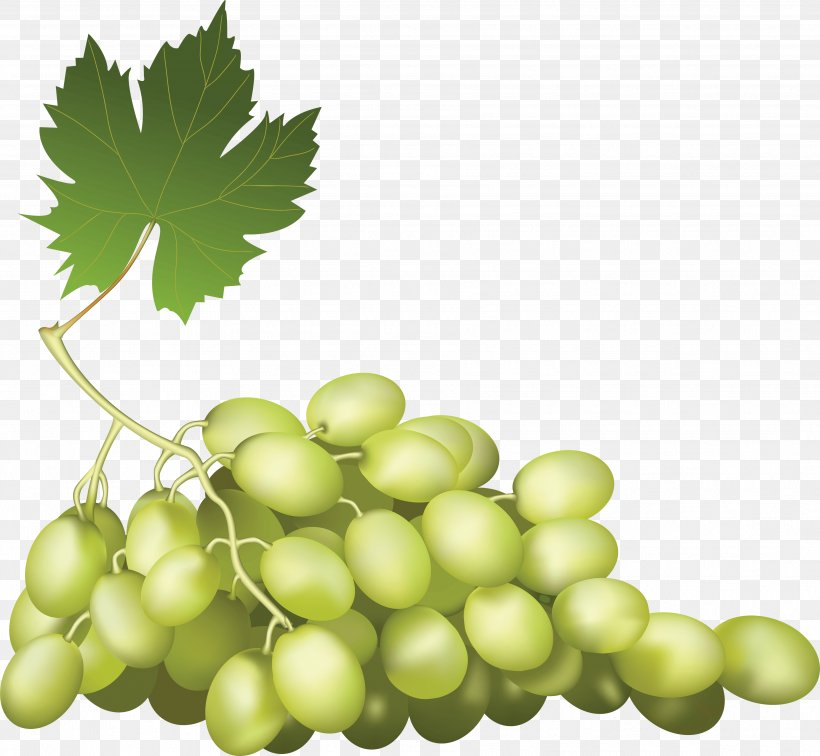 Fruit Grape, PNG, 3634x3352px, Fruit, Art, Food, Grape, Grape Leaves Download Free