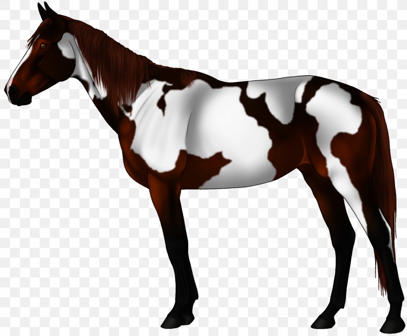 Mustang Arabian Horse Stallion Andalusian Horse Appaloosa, PNG, 1599x1323px, Mustang, American Quarter Horse, Andalusian Horse, Animal Figure, Appaloosa Download Free