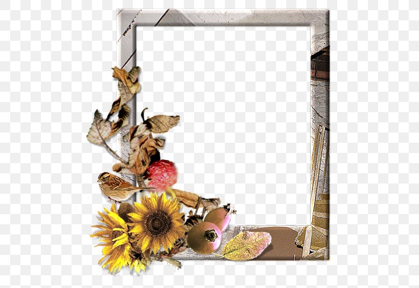 Window Picture Frames Floral Design Flower Photography, PNG, 535x565px, Window, Author, Cut Flowers, Email, Floral Design Download Free