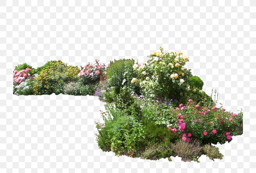 DeviantArt Flower Garden, PNG, 736x555px, Deviantart, Allium Giganteum, Alumroot, Art, Centaurea Montana Download Free