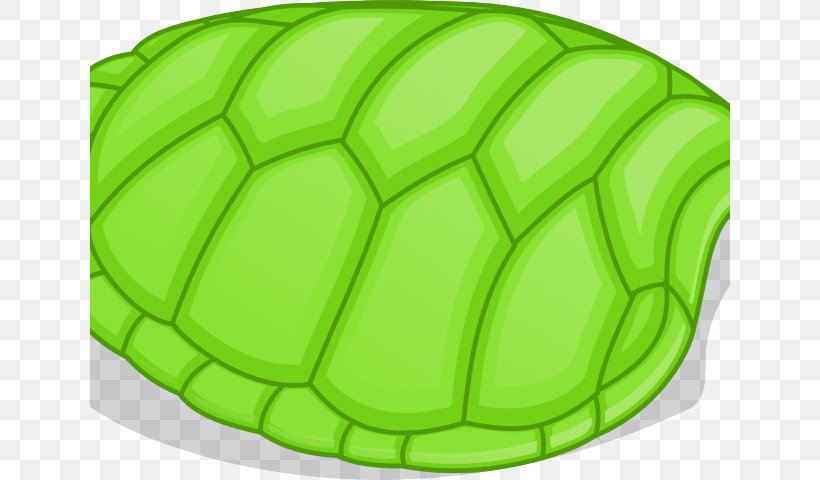 Sea Turtle Background, PNG, 640x480px, Turtle, Animal, Box Turtles, Common Snapping Turtle, Green Download Free