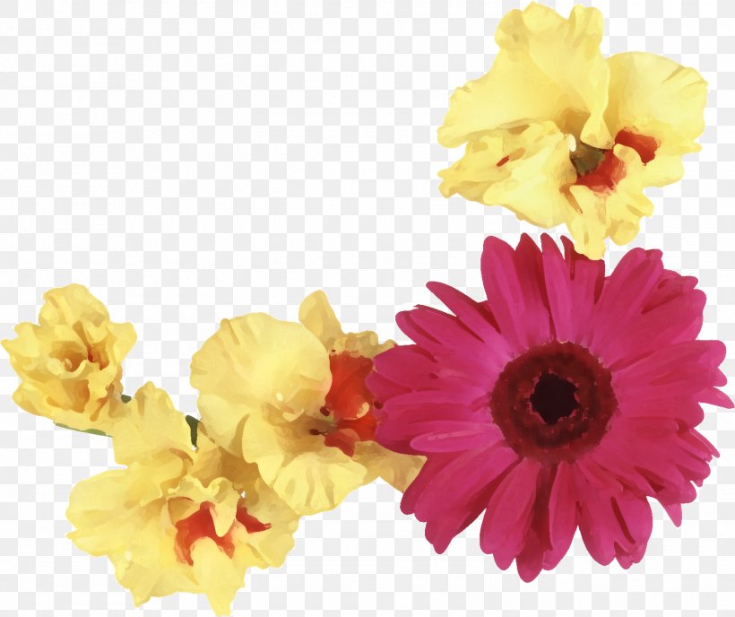 Transvaal Daisy Floral Design Flower Bouquet Floristry, PNG, 1500x1259px, Transvaal Daisy, Chrysanthemum, Cut Flowers, Daisy Family, Floral Design Download Free