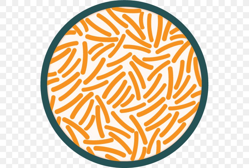 Bacterial Growth Petri Dishes Clip Art, PNG, 554x553px, Bacteria, Agar, Agar Sang, Area, Bacterial Disease Download Free