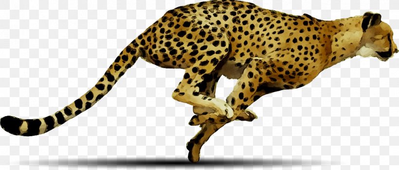 Cheetah Clip Art Desktop Wallpaper Image, PNG, 1034x442px, Cheetah, African Leopard, Animal, Animal Figure, Big Cats Download Free