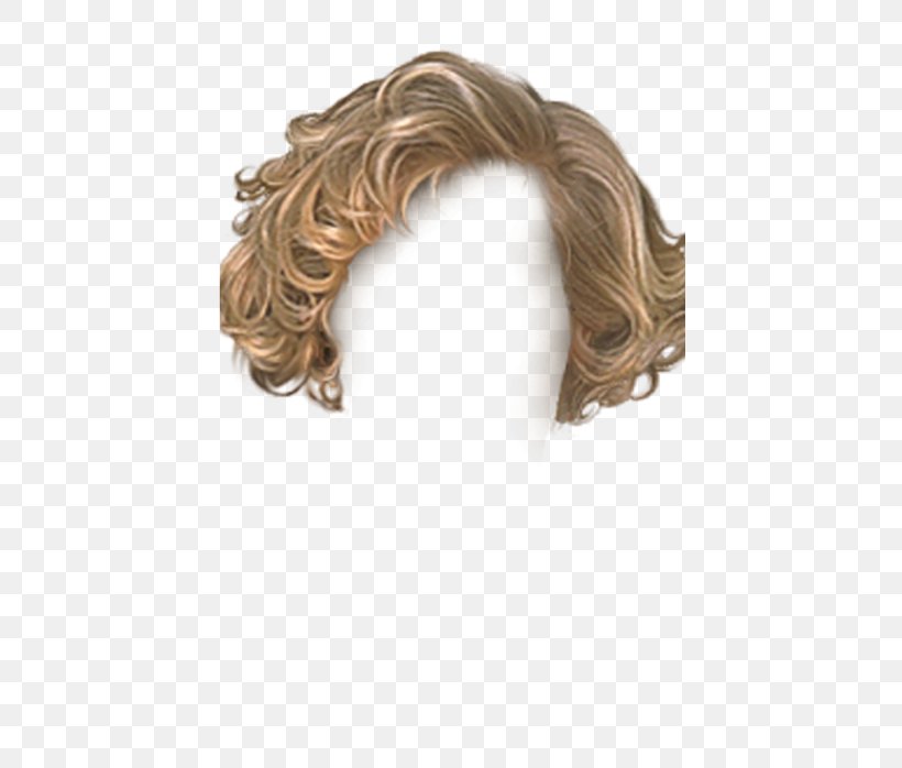 Wig Hairstyle, PNG, 427x698px, Wig, Adobe Flash, Brown Hair, Depositfiles, Digital Image Download Free