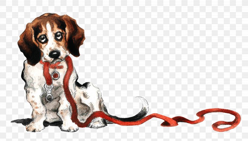 Dog Breed Beagle Puppy Pet Sitting American Eskimo Dog, PNG, 5100x2912px, Dog Breed, American Eskimo Dog, Beagle, Carnivoran, Companion Dog Download Free