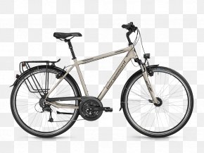 pegasus bike germany