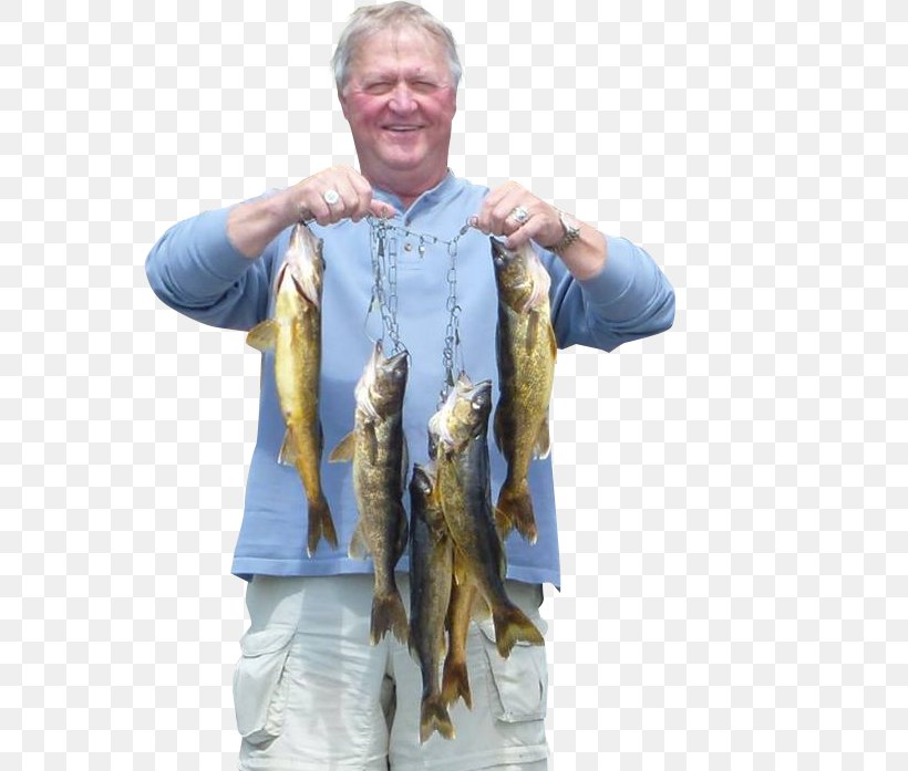 Gammon River East Outcamp Fishing Walleye, PNG, 560x697px, Gammon River, Bass, Canada, Cropping, Fish Download Free