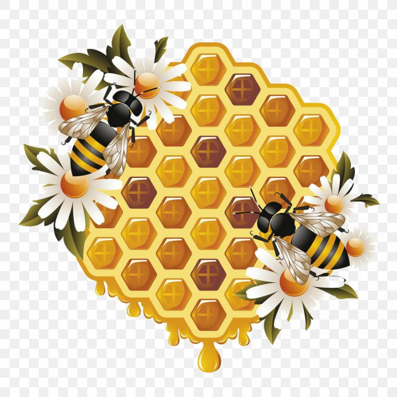 Western Honey Bee Beehive Bumblebee Clip Art, PNG ...