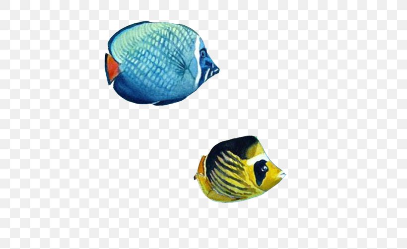 Ornamental Fish, PNG, 502x502px, Fish, Biology, Fishkeeping, Gratis, Marine Biology Download Free