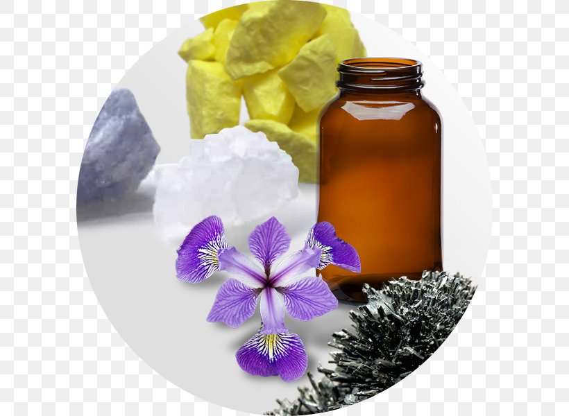 Alternative Health Services Homeopathy Herbalism Medicine Sulfuric Acid, PNG, 600x600px, Alternative Health Services, Acid, Attenuation, Density, Diabetes Mellitus Download Free