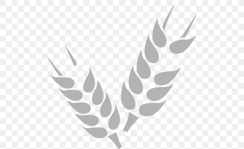 Cereal Wheat Grain Agriculture, PNG, 506x504px, Cereal, Agriculture, Beak, Black And White, Crop Download Free