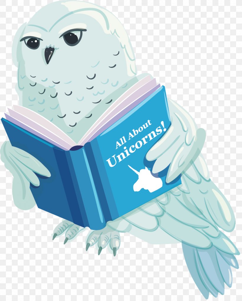 Clip Art Owl The Enchanted Forest Scholastic Book Fairs, PNG, 892x1110px, Owl, Bird, Bird Of Prey, Book, Book Review Download Free