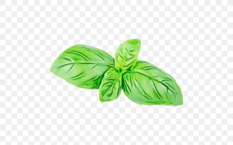 Green Leaf Background, PNG, 512x512px, Basil, Anthurium, Flower, Food, Green Download Free