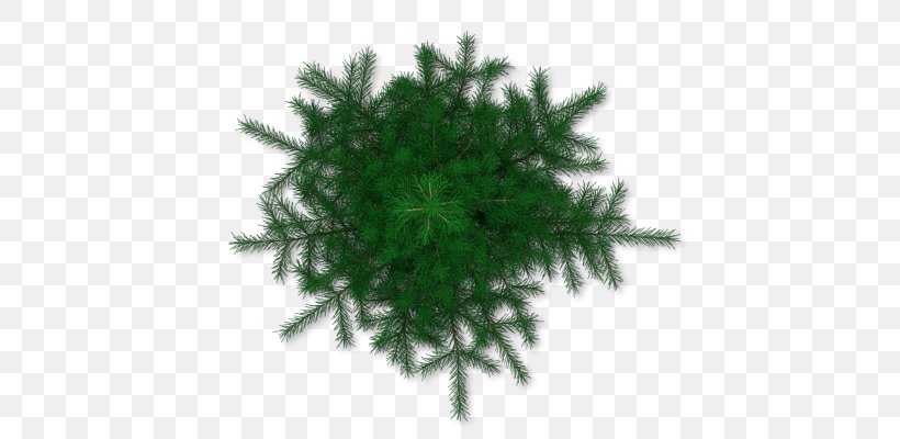 Tree Pine, PNG, 453x400px, Tree, Architectural Rendering, Arecaceae, Branch, Christmas Ornament Download Free