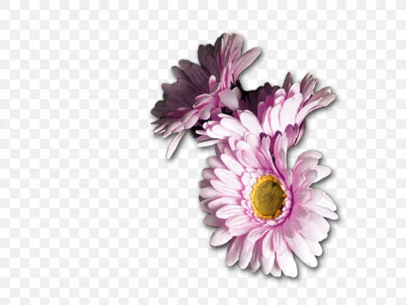 Flower Blogger Floral Design, PNG, 1024x768px, Flower, Blog, Blogger, Chrysanthemum, Chrysanths Download Free
