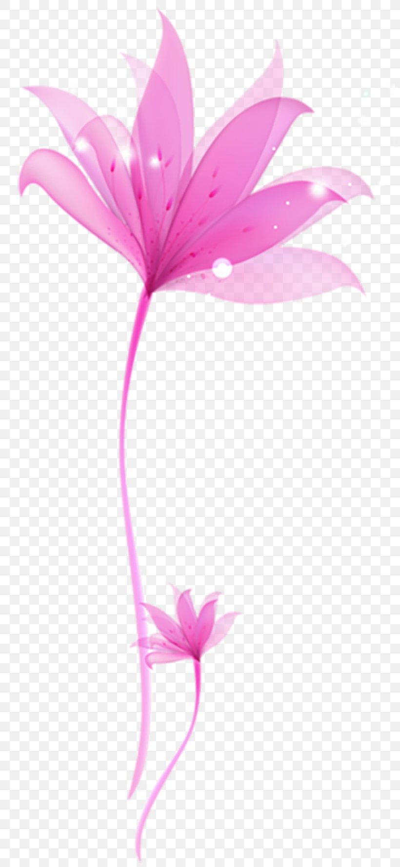Flower Blue Purple Clip Art, PNG, 800x1778px, Flower, Art, Blue, Color, Flora Download Free