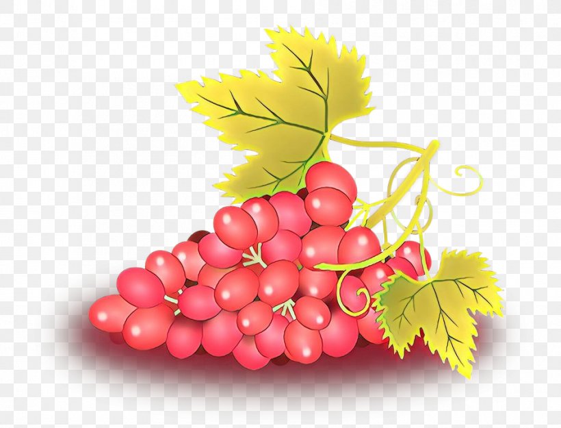 Grape Seedless Fruit Leaf Plant Grapevine Family, PNG, 944x720px, Cartoon, Flower, Flowering Plant, Fruit, Grape Download Free