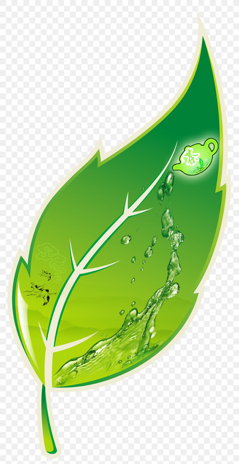 Green Tea Anxi County Graphic Design, PNG, 781x1590px, Tea, Anxi County, Camellia Sinensis, Cartoon, Flora Download Free