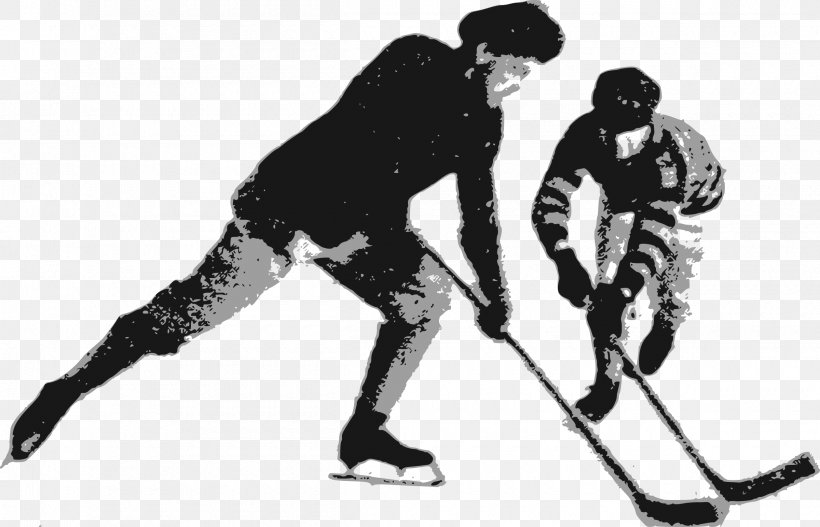 Ice Hockey Player Hockey Sticks Team Sport, PNG, 2400x1545px, Ice Hockey, Ball Hockey, Black And White, Goaltender, Hockey Download Free