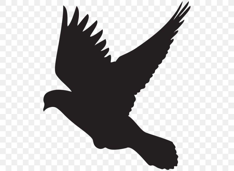 Columbidae Silhouette Dove Clip Art, PNG, 523x600px, Columbidae, Art, Beak, Bird, Bird Of Prey Download Free