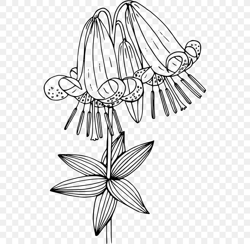Drawing /m/02csf Line Art Petal Clip Art, PNG, 533x800px, Drawing, Artwork, Black And White, Branch, Coil Binding Download Free