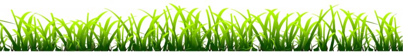 Lawn Desktop Wallpaper Clip Art, PNG, 2995x393px, Lawn, Animation, Blog, Grass, Grass Family Download Free