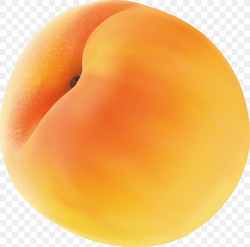 Peach Apricot Close-up, PNG, 1626x1607px, Peach, Apricot, Closeup, Food, Fruit Download Free