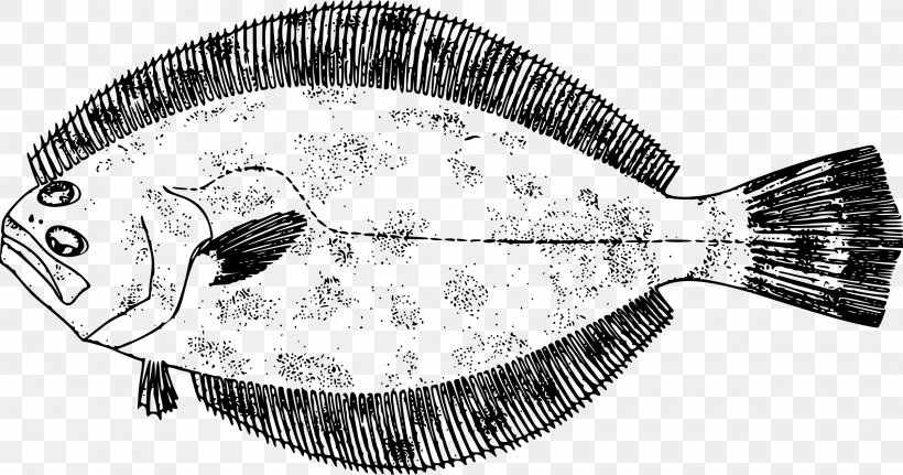 Southern Flounder Drawing Fish Gulf Flounder, PNG, 2400x1264px, Flounder, Artwork, Black And White, Drawing, Fish Download Free
