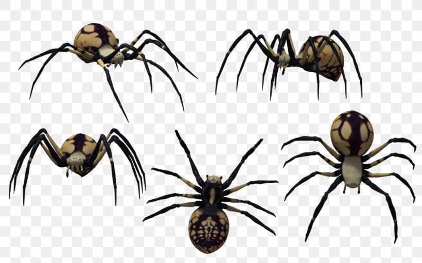 Spider Latrodectus Tredecimguttatus Drawing Clip Art, PNG, 1024x639px, Spider, Arachnid, Araneus, Art, Arthropod Download Free