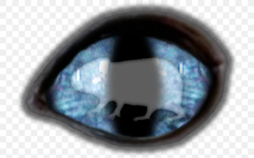 Eye, PNG, 720x511px, Eye, Blue Download Free