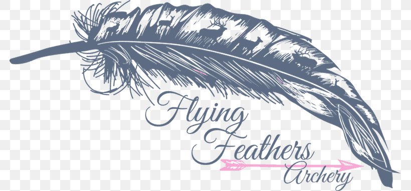 Feather Archery Wing T-shirt Font, PNG, 781x382px, Feather, Archery, Bird, Customer Satisfaction, Fashion Accessory Download Free