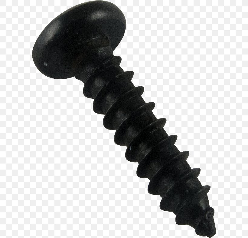 Fender Computer Hardware Screw, PNG, 610x786px, Fender, Computer Hardware, Hardware, Hardware Accessory, Screw Download Free