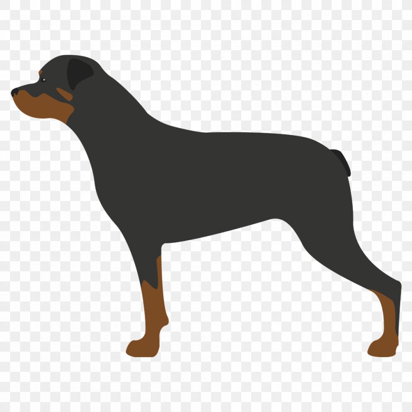 German Pinscher Puppy Smaland Hound Rottweiler Whippet, PNG, 1000x1000px, German Pinscher, Animal, Breed, Bulldog, Carnivoran Download Free