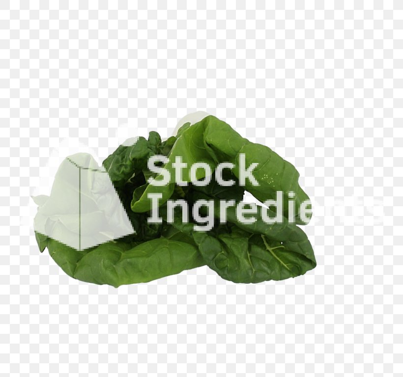 Leaf Vegetable Plastic, PNG, 768x768px, Leaf Vegetable, Leaf, Plastic, Vegetable Download Free