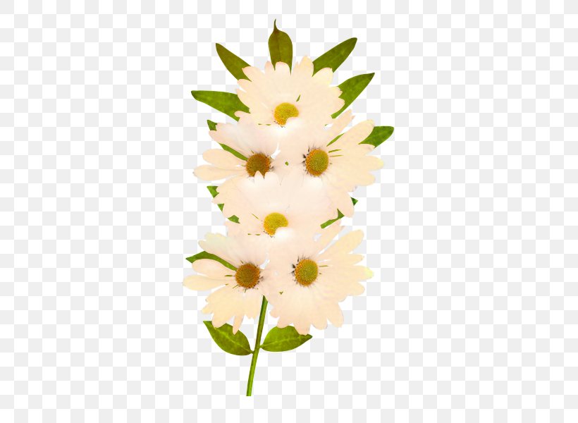 Clip Art Common Daisy Flower Bouquet, PNG, 600x600px, Common Daisy, Art, Artificial Flower, Cut Flowers, Decoupage Download Free