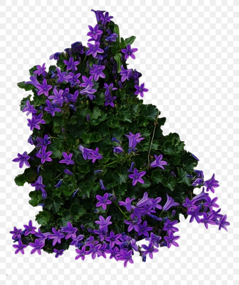 Shrub Tree Flower Clip Art, PNG, 1024x1220px, Shrub, Annual Plant, Bellflower, Bellflower Family, Evergreen Download Free