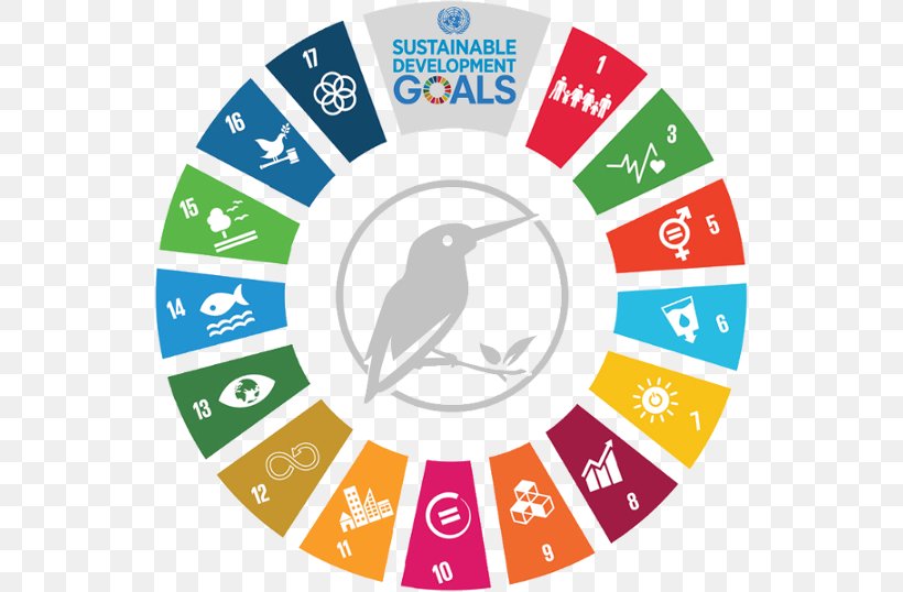 Sustainability Health Care Sustainable Development Goals Business, PNG, 540x538px, Sustainability, Area, Brand, Business, Health Download Free