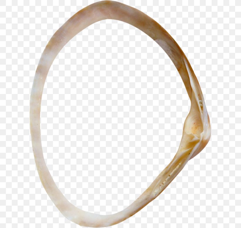 Bangle Material Wedding Ring Body Jewellery, PNG, 620x776px, Bangle, Body Jewellery, Body Jewelry, Fashion Accessory, Jewellery Download Free