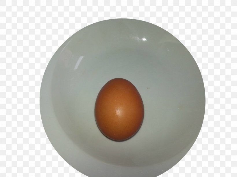 Egg, PNG, 1600x1200px, Egg Download Free