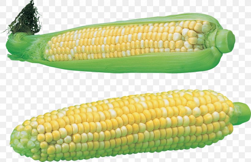 Maize, PNG, 1694x1100px, Maize, Clipping Path, Commodity, Corn Kernel, Corn Kernels Download Free