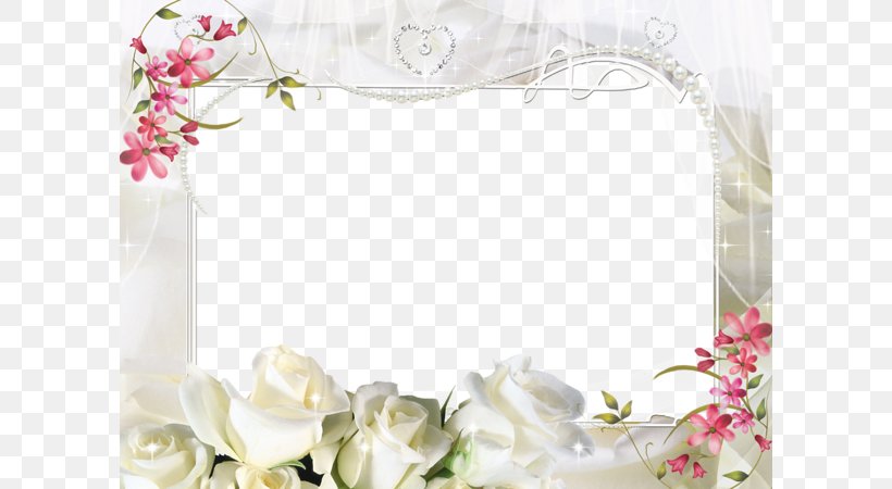 Picture Frame Photography, PNG, 600x450px, Picture Frame, Dishware ...