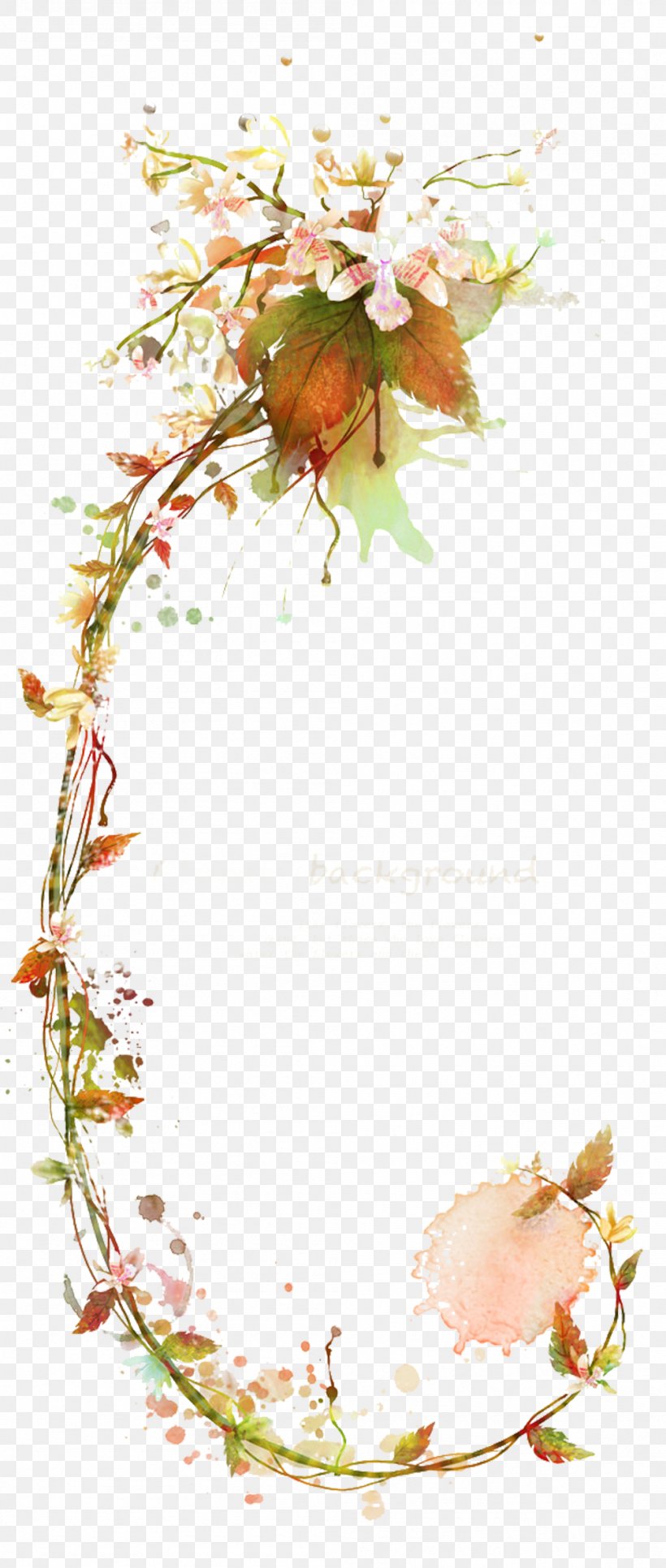 Flower Vine Illustration, PNG, 999x2354px, Flower, Branch, Decor, Flora, Floral Design Download Free