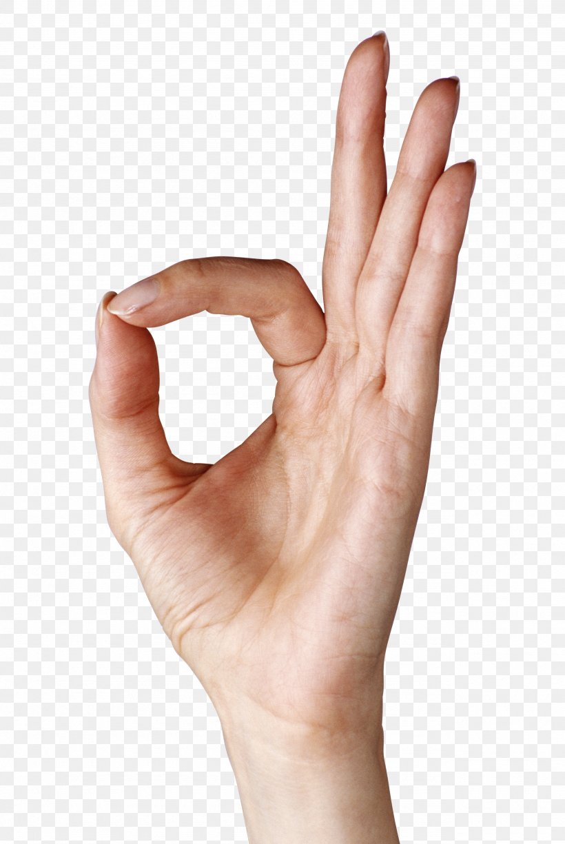 OK Hand Gesture Clip Art, PNG, 2565x3834px, Hand, Arm, Close Up, Finger, Gesture Download Free