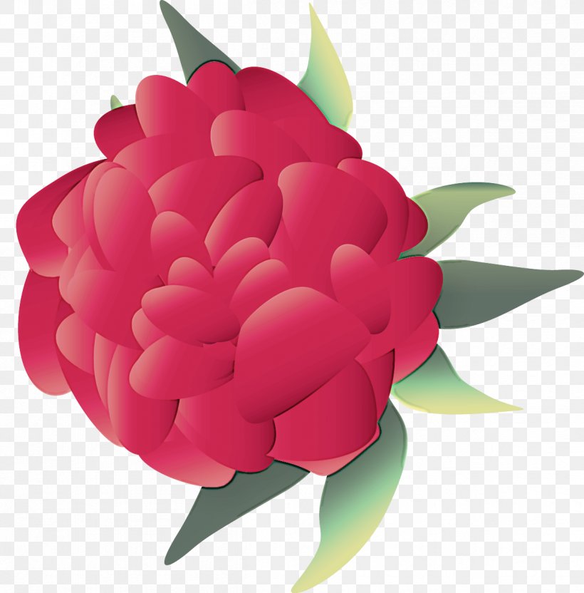 Petal Flower Pink Red Plant, PNG, 1208x1227px, Petal, Camellia, Cut Flowers, Flower, Flowering Plant Download Free