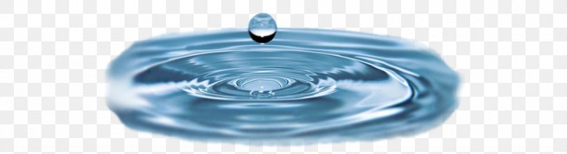 World Water Day Earth Aguas Y Saneamientos Argentinos S.A. Life, PNG, 1000x273px, Water, Blog, Blue, Centimeter, Datas Comemorativas Download Free