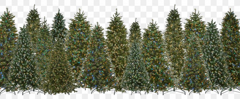 Artificial Christmas Tree Evergreen, PNG, 1920x793px, Tree, Artificial Christmas Tree, Biome, Christmas, Christmas Decoration Download Free