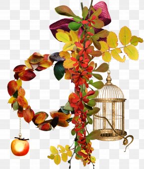 Tree Cage - Cage Wallpaper PNG