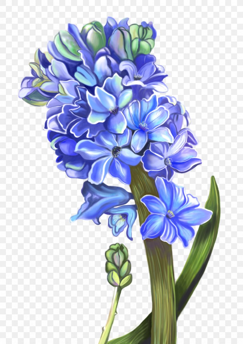 Hyacinth Floral Design Cut Flowers, PNG, 1131x1600px, Hyacinth, Cut Flowers, Floral Design, Floristry, Flower Download Free
