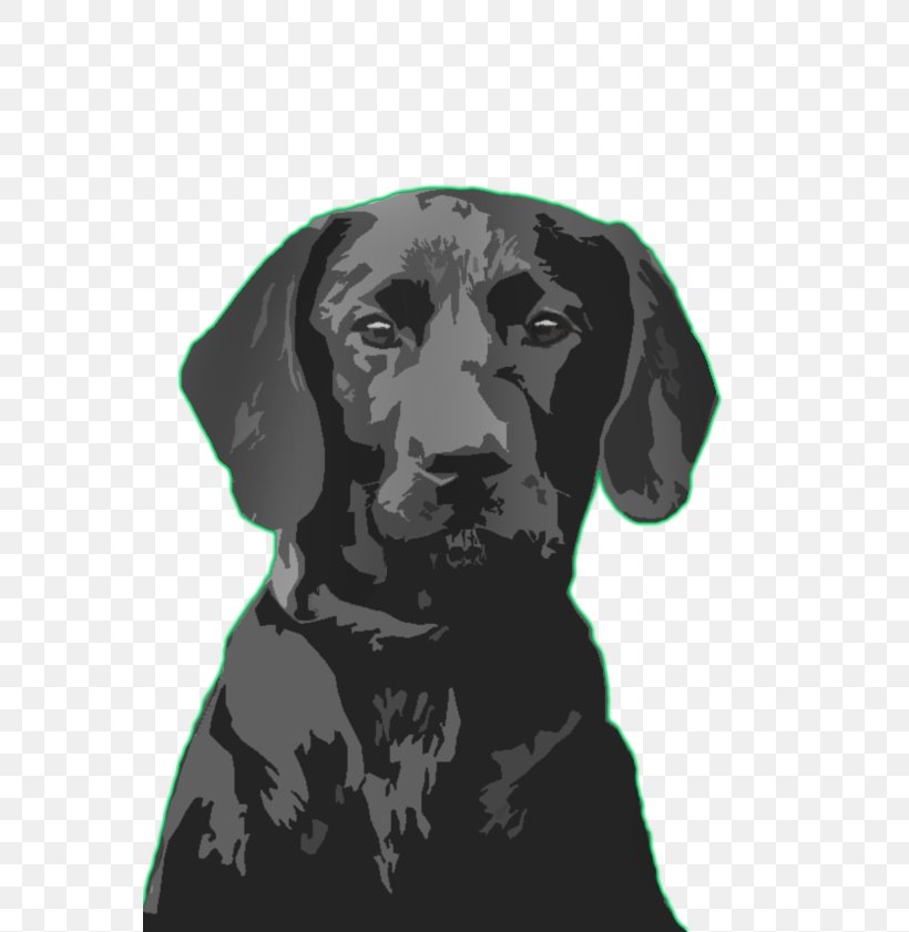 Labrador Retriever Flat-Coated Retriever Grand Theft Auto: London, 1969 Half-Life 2, PNG, 561x841px, Labrador Retriever, Black, Carnivoran, Chomikujpl, Dog Download Free